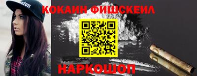 крисы Моздок