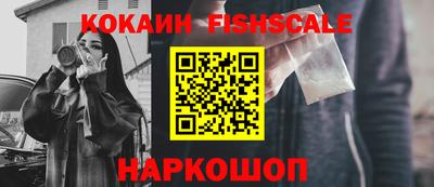 крисы Моздок