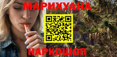 крисы Моздок