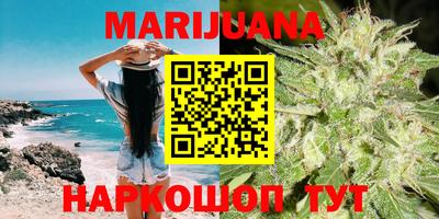 крисы Моздок