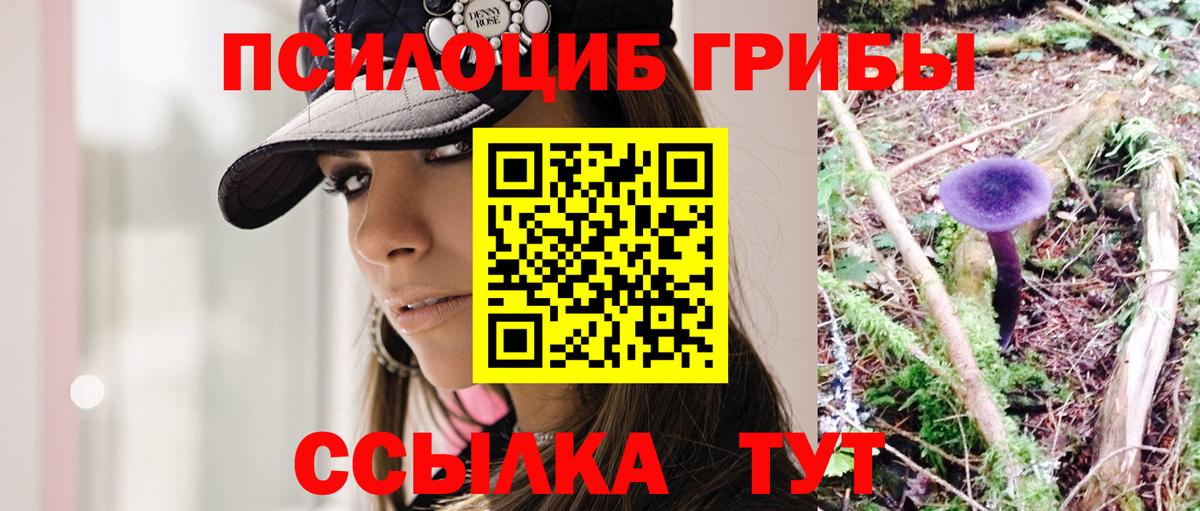 Галлюциногенные грибы Cubensis  Вход с VPN  Великие Луки 