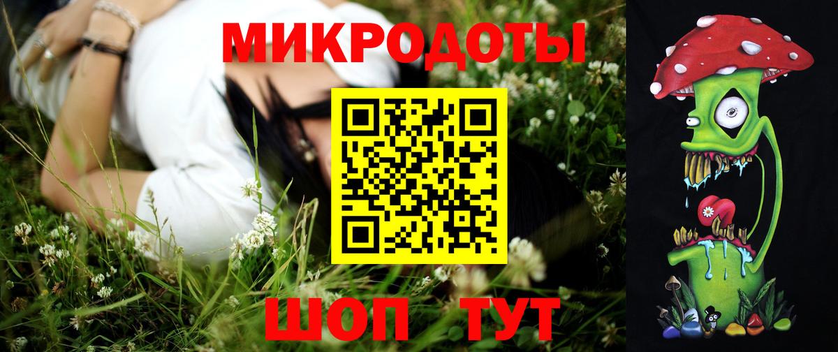 Псилоцибиновые грибы Psilocybine cubensis Великие Луки