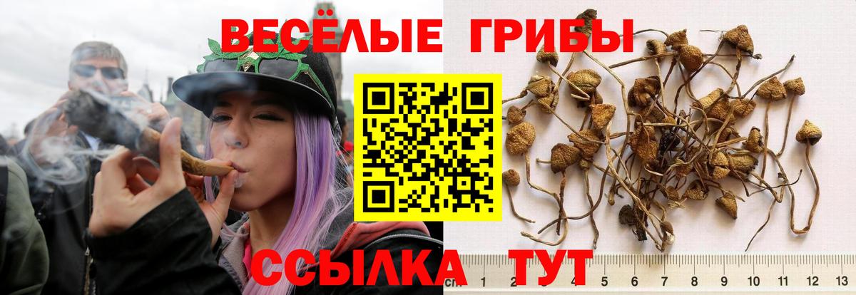 Великие Луки  Вход с VPN  Кокаин  МЕФ  Экстази  Мефедрон   Канабис 